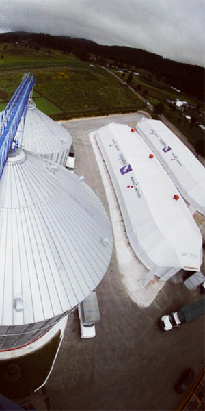 Econobodegas Diconsa Sector Gobierno