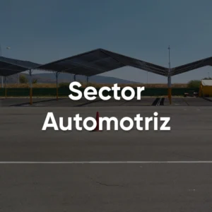 Sector Automotriz y Transporte