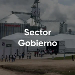 Sector Gobierno